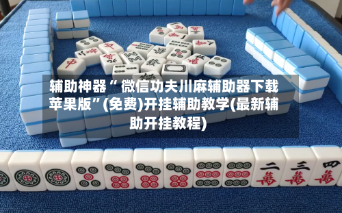 辅助神器“ 微信功夫川麻辅助器下载苹果版”(免费)开挂辅助教学(最新辅助开挂教程)-第2张图片