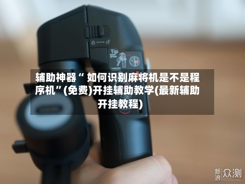 辅助神器“ 如何识别麻将机是不是程序机”(免费)开挂辅助教学(最新辅助开挂教程)-第3张图片