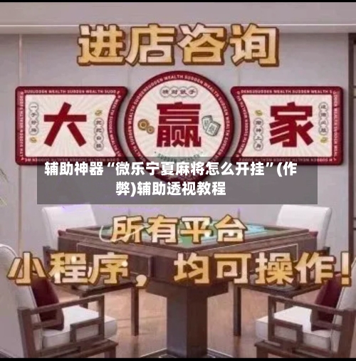 辅助神器“微乐宁夏麻将怎么开挂”(作弊)辅助透视教程-第2张图片