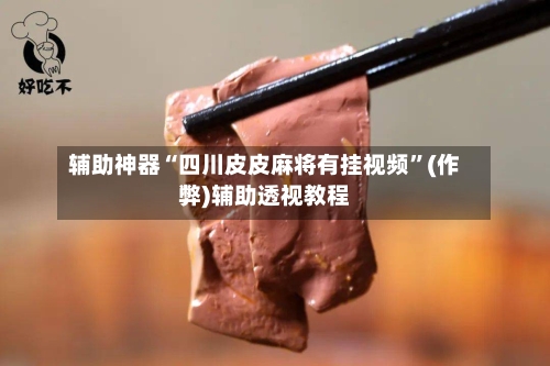 辅助神器“四川皮皮麻将有挂视频”(作弊)辅助透视教程-第3张图片