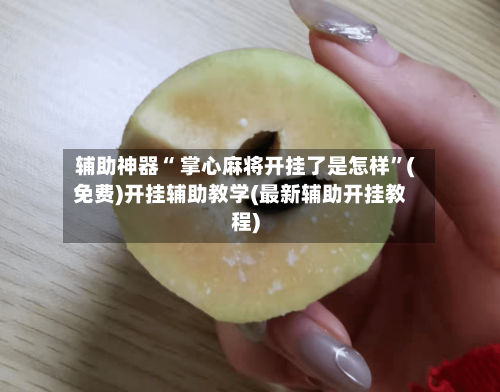 辅助神器“ 掌心麻将开挂了是怎样”(免费)开挂辅助教学(最新辅助开挂教程)