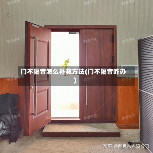 门不隔音怎么补救方法(门不隔音咋办)-第2张图片