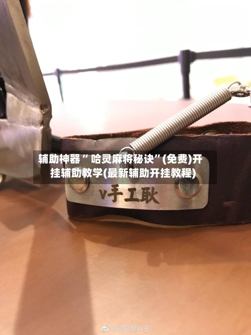 辅助神器“ 哈灵麻将秘诀”(免费)开挂辅助教学(最新辅助开挂教程)-第2张图片