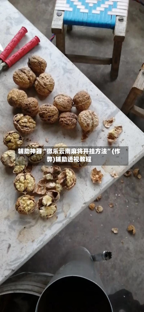 辅助神器“微乐云南麻将开挂方法”(作弊)辅助透视教程