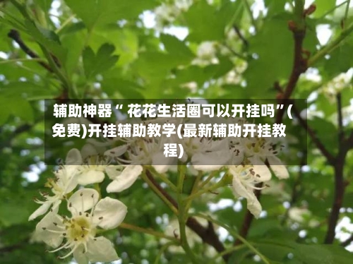 辅助神器“ 花花生活圈可以开挂吗”(免费)开挂辅助教学(最新辅助开挂教程)