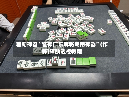 辅助神器“雀神广东麻将专用神器”(作弊)辅助透视教程-第3张图片