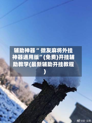 辅助神器“ 微友麻将外挂神器通用版”(免费)开挂辅助教学(最新辅助开挂教程)
