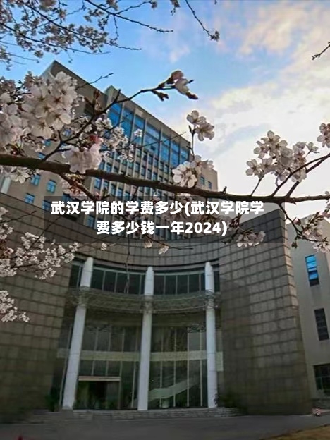武汉学院的学费多少(武汉学院学费多少钱一年2024)