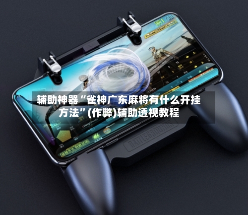 辅助神器“雀神广东麻将有什么开挂方法”(作弊)辅助透视教程-第3张图片