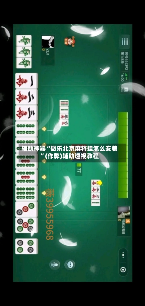 辅助神器“微乐北京麻将挂怎么安装	”(作弊)辅助透视教程-第3张图片