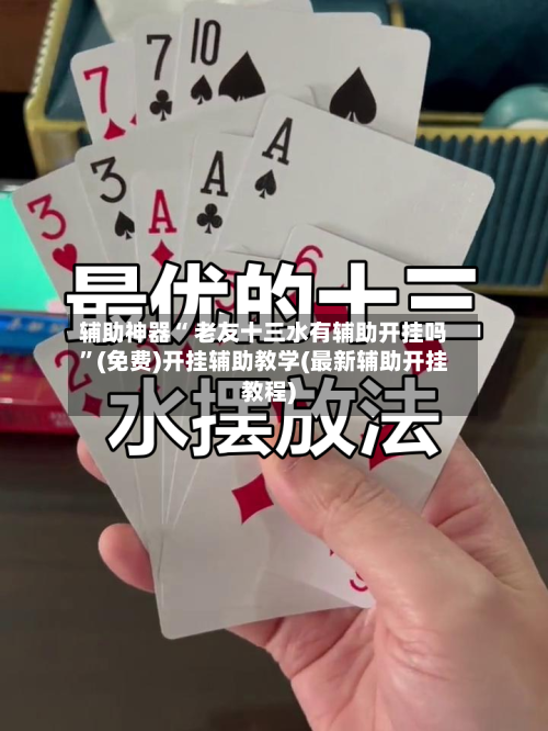 辅助神器“ 老友十三水有辅助开挂吗”(免费)开挂辅助教学(最新辅助开挂教程)-第3张图片