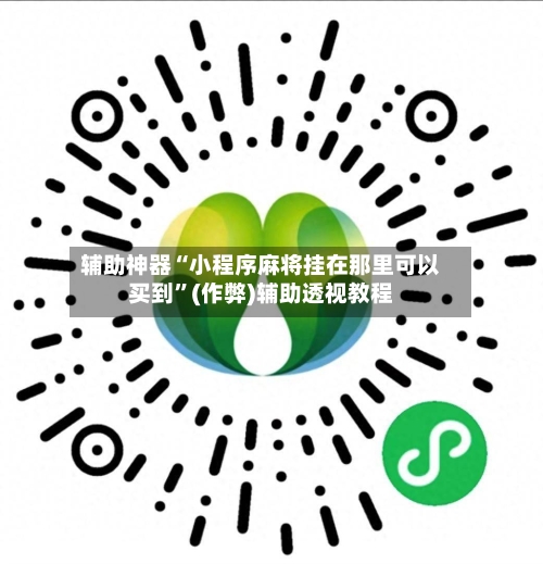 辅助神器“小程序麻将挂在那里可以买到”(作弊)辅助透视教程-第3张图片