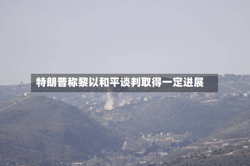 特朗普称黎以和平谈判取得一定进展