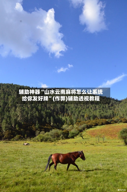 辅助神器“山水云南麻将怎么让系统给你发好牌”(作弊)辅助透视教程-第3张图片
