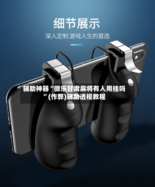 辅助神器“微乐甘肃麻将有人用挂吗”(作弊)辅助透视教程-第2张图片