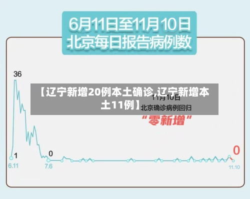 【辽宁新增20例本土确诊,辽宁新增本土11例】-第2张图片