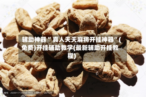 辅助神器“ 真人天天麻将开挂神器”(免费)开挂辅助教学(最新辅助开挂教程)