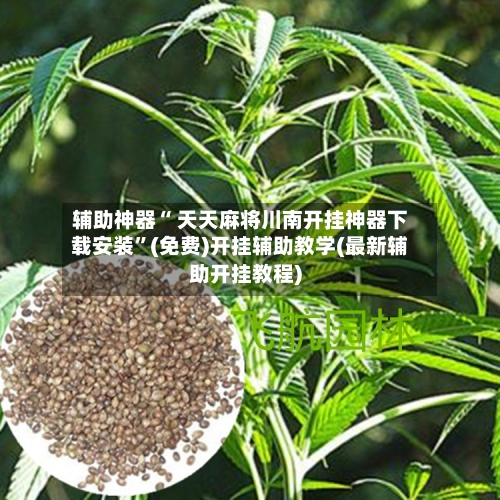 辅助神器“ 天天麻将川南开挂神器下载安装”(免费)开挂辅助教学(最新辅助开挂教程)