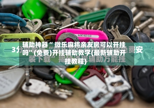 辅助神器“ 微乐麻将亲友房可以开挂吗”(免费)开挂辅助教学(最新辅助开挂教程)