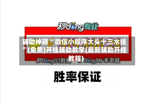 辅助神器“ 微信小程序大头十三水挂”(免费)开挂辅助教学(最新辅助开挂教程)-第3张图片