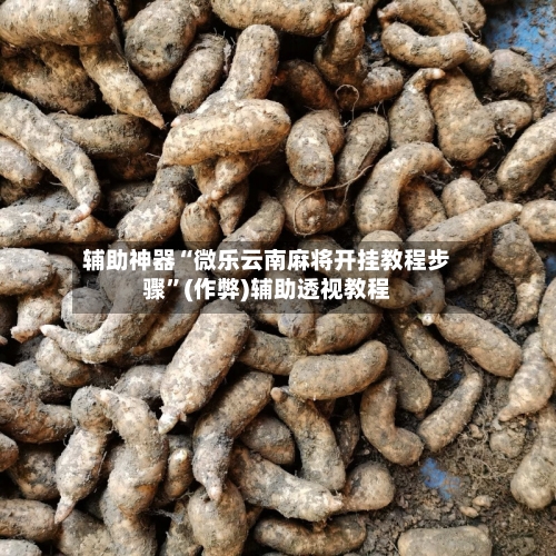辅助神器“微乐云南麻将开挂教程步骤”(作弊)辅助透视教程-第2张图片