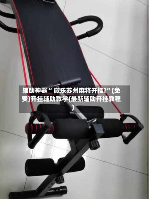 辅助神器“ 微乐苏州麻将开挂?	”(免费)开挂辅助教学(最新辅助开挂教程)-第3张图片