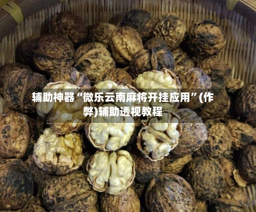 辅助神器“微乐云南麻将开挂应用”(作弊)辅助透视教程-第2张图片