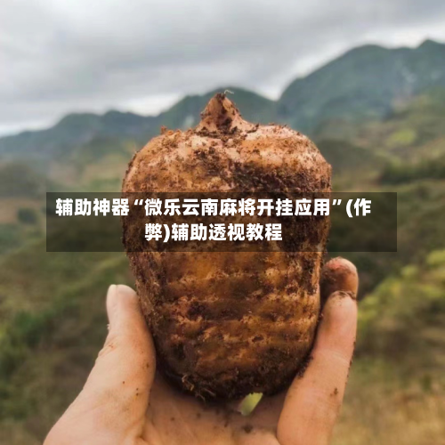 辅助神器“微乐云南麻将开挂应用”(作弊)辅助透视教程