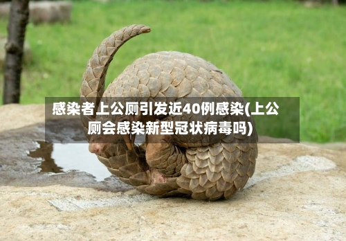 感染者上公厕引发近40例感染(上公厕会感染新型冠状病毒吗)-第2张图片