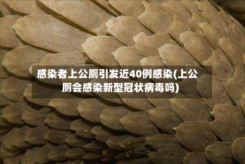 感染者上公厕引发近40例感染(上公厕会感染新型冠状病毒吗)