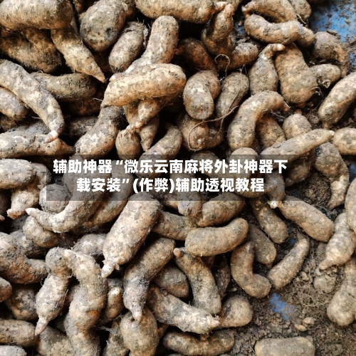 辅助神器“微乐云南麻将外卦神器下载安装”(作弊)辅助透视教程