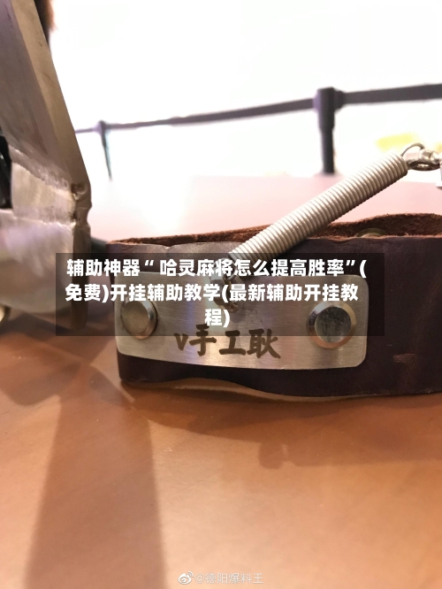 辅助神器“ 哈灵麻将怎么提高胜率”(免费)开挂辅助教学(最新辅助开挂教程)-第2张图片