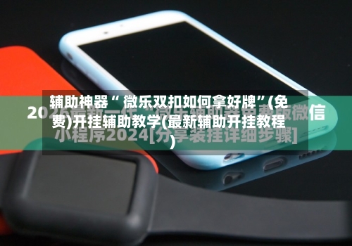 辅助神器“ 微乐双扣如何拿好牌”(免费)开挂辅助教学(最新辅助开挂教程)-第2张图片