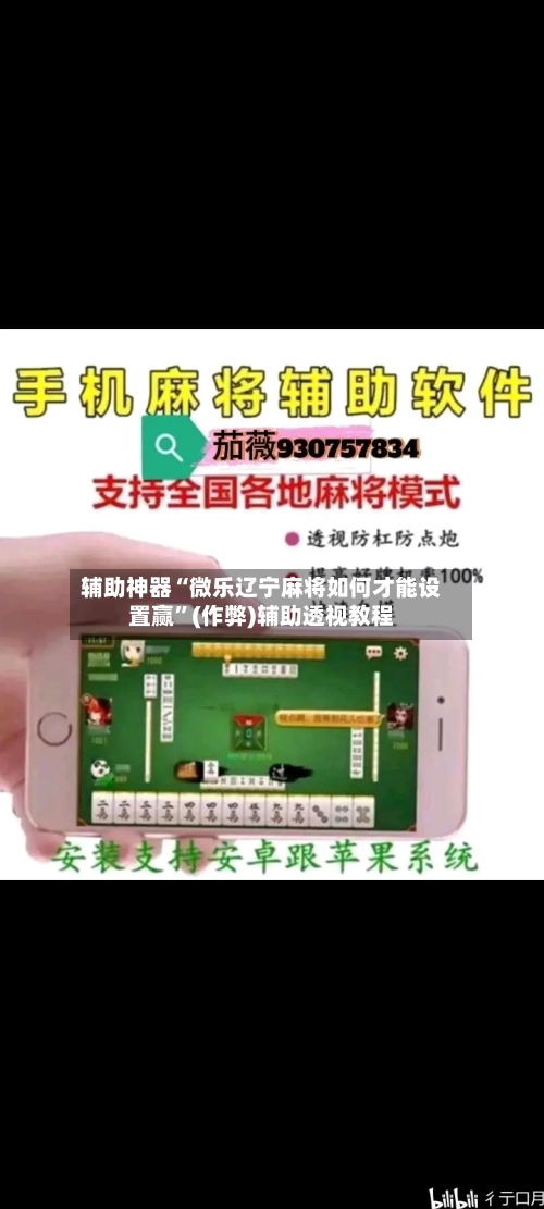 辅助神器“微乐辽宁麻将如何才能设置赢	”(作弊)辅助透视教程-第2张图片