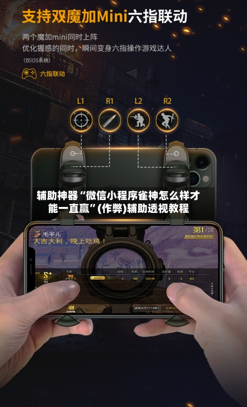 辅助神器“微信小程序雀神怎么样才能一直赢”(作弊)辅助透视教程-第2张图片