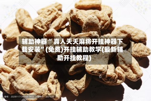 辅助神器“ 真人天天麻将开挂神器下载安装	”(免费)开挂辅助教学(最新辅助开挂教程)-第1张图片