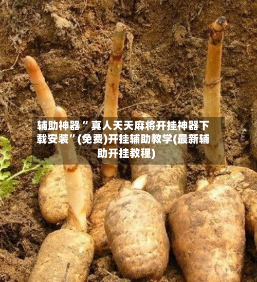 辅助神器“ 真人天天麻将开挂神器下载安装”(免费)开挂辅助教学(最新辅助开挂教程)-第2张图片