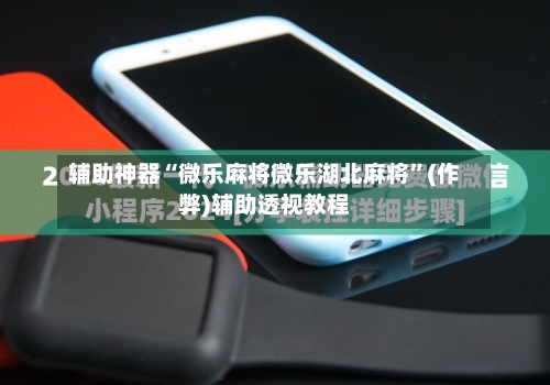 辅助神器“微乐麻将微乐湖北麻将”(作弊)辅助透视教程-第2张图片