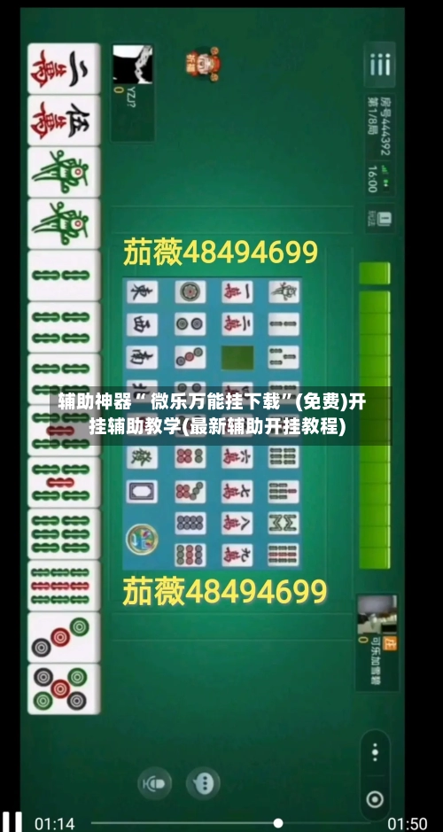 辅助神器“ 微乐万能挂下载”(免费)开挂辅助教学(最新辅助开挂教程)-第3张图片