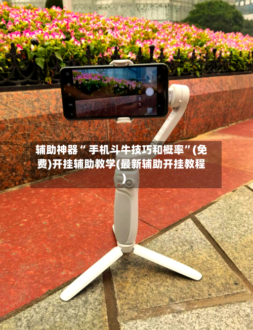 辅助神器“ 手机斗牛技巧和概率”(免费)开挂辅助教学(最新辅助开挂教程)-第2张图片