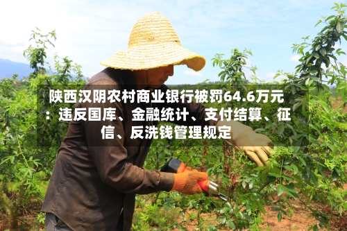 陕西汉阴农村商业银行被罚64.6万元：违反国库、金融统计、支付结算、征信、反洗钱管理规定