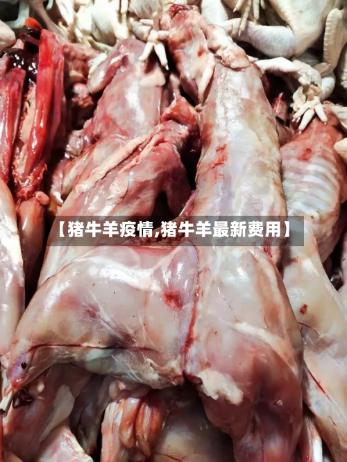 【猪牛羊疫情,猪牛羊最新费用】-第2张图片