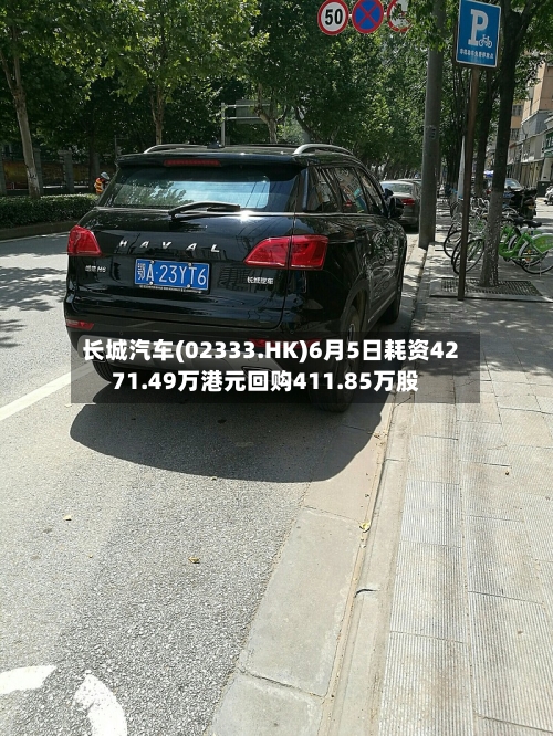 长城汽车(02333.HK)6月5日耗资4271.49万港元回购411.85万股
