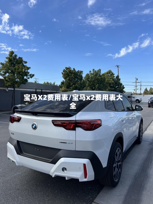 宝马X2费用表/宝马x2费用表大全-第2张图片