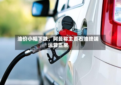 油价小幅下跌，阿曼称主要石油终端运营正常