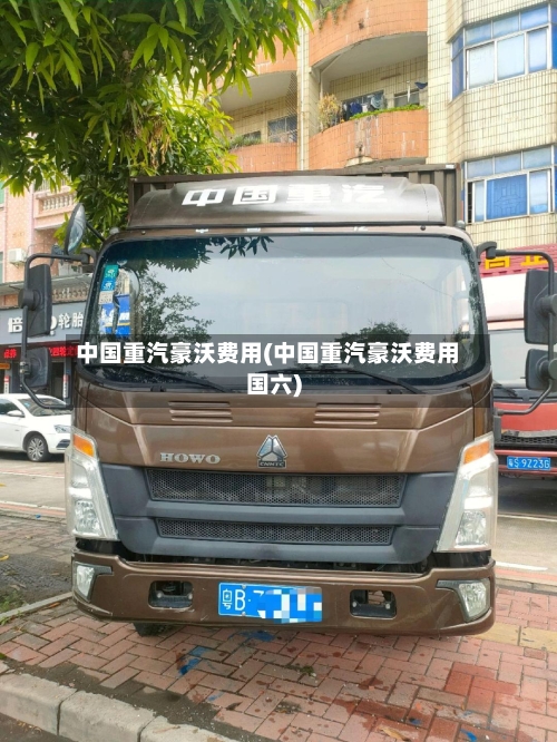 中国重汽豪沃费用(中国重汽豪沃费用国六)-第3张图片