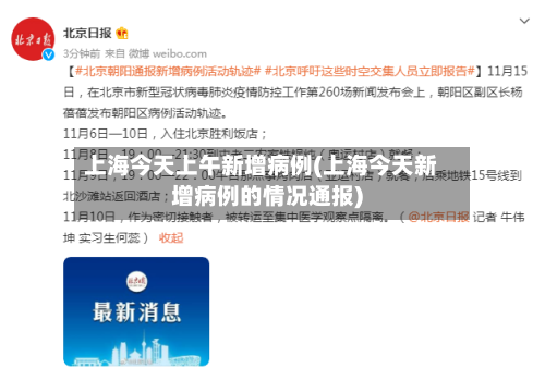 上海今天上午新增病例(上海今天新增病例的情况通报)