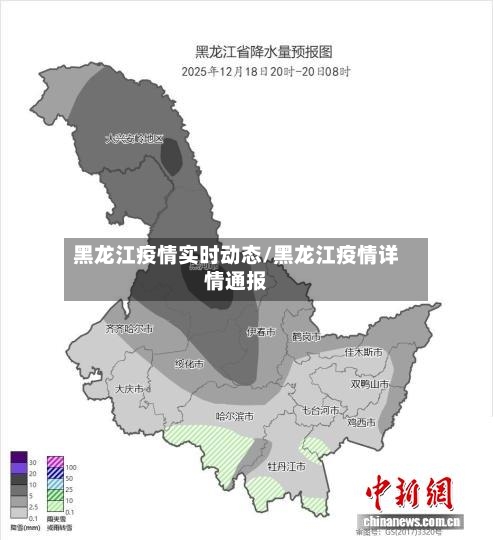黑龙江疫情实时动态/黑龙江疫情详情通报-第3张图片