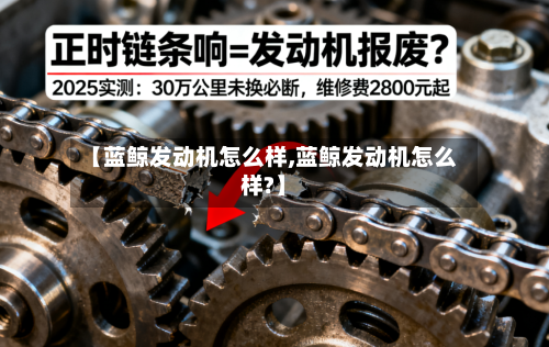【蓝鲸发动机怎么样,蓝鲸发动机怎么样?】-第2张图片