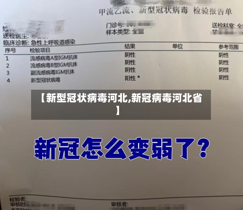 【新型冠状病毒河北,新冠病毒河北省】-第3张图片